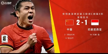国家队在比赛中击败对手，为国家争光，士气大振的简单介绍