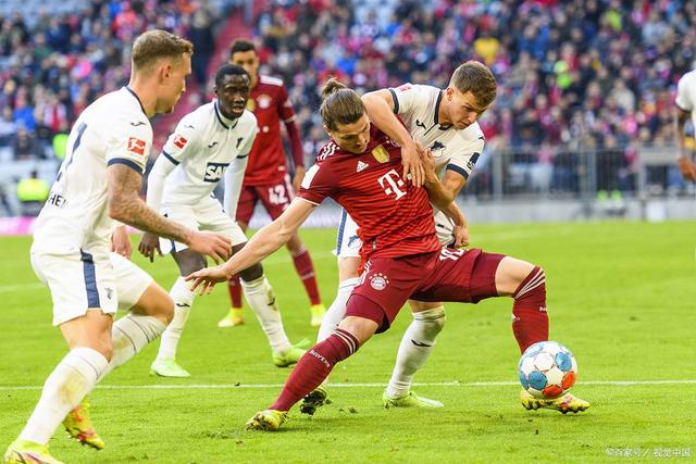 霍芬海姆在主场击败弗赖堡保持不败,全场震撼的简单介绍 霍芬海姆在主场击败弗赖堡保持不败,全场震撼的简单介绍