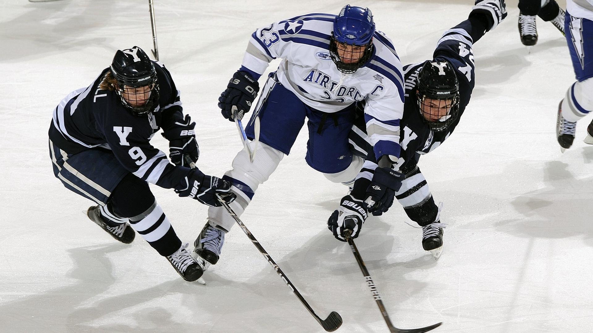 跨界魔幻夜！广厦篮球队降维打击黄蜂，欧冠半决赛惊现篮球争霸？